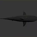 Detailed Blue Gray Shark With Red Mouth Accents 3D Rendered On Dark Gradient Background