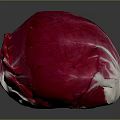 Fresh Radicchio Vegetable With Vibrant Red And White Leaves On Dark Background