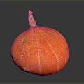 Fresh Ripe Orange Striped Pumpkin With Green Stem On Dark Background