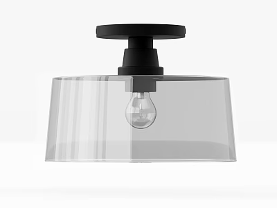 Modern Ceiling Light With Black Base And Transparent Glass Shade 3d model