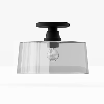 Modern Ceiling Light With Black Base And Transparent Glass Shade 3d model