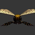Close Up View Of Bee With Transparent Wings Metallic Orange Black Body On Dark Background