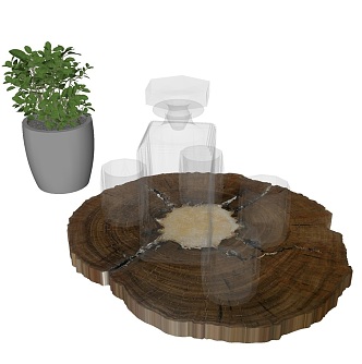 Modern Cup Table Ornament Drinking Cup Decoration Plant Wooden Pier 3d model