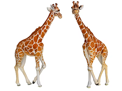 Two Giraffes Standing Face to Face With Brown Spotted Body Pattern 3d model