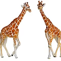 Two Giraffes Standing Face to Face With Brown Spotted Body Pattern 3d model