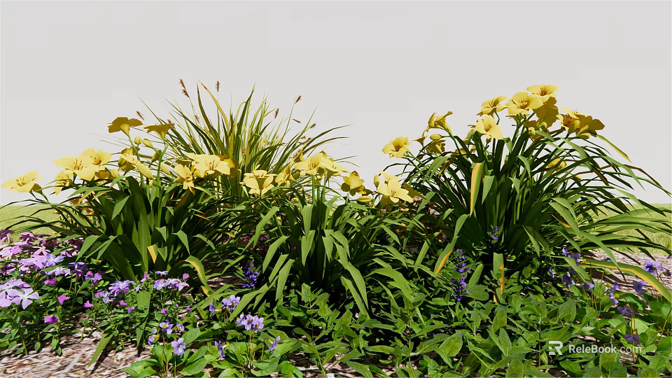 Vibrant Yellow Flowers With Purple Small Blooms And Lush Green Leaves In Garden 3d model 