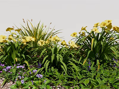 Vibrant Yellow Flowers With Purple Small Blooms And Lush Green Leaves In Garden 3d model