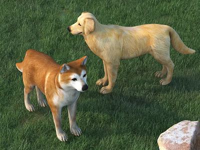 Two Dogs Standing On Green Grass With Stone Nearby 3d model
