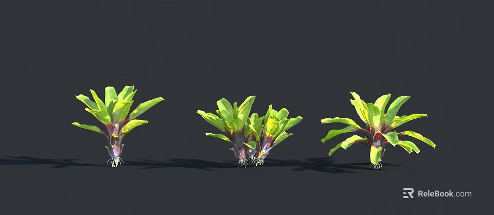 Vibrant Green And Yellow Leaf Plants With Purple Roots On Black Background 3d model 