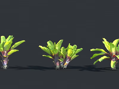 Vibrant Green And Yellow Leaf Plants With Purple Roots On Black Background 3d model