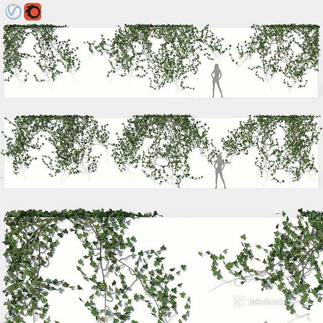Lush Green Vine Decorative Plants For Garden Landscaping And Outdoor Spaces 3d model 