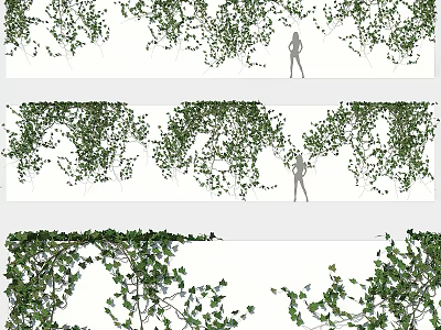 Lush Green Vine Decorative Plants For Garden Landscaping And Outdoor Spaces 3d model