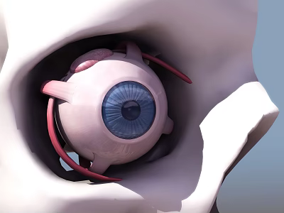 Detailed Futuristic Bionic Eye With Blue Pupil Pink Structure And Red Cables 3d model
