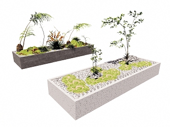 Pteridophyte Landscape Plant Bonsai Moss Kidney Fern Apple Fern Groundland Flower Landscape Grass Landscape Gravel Ecological Landscape Pool 3d model