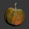 Fresh Single Green And Orange Striped Pumpkin With Natural Frosted Surface On Dark Background