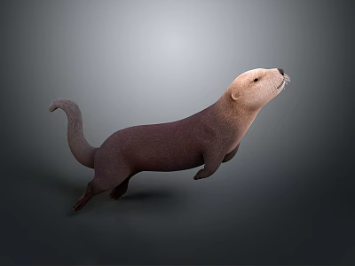 Otter in Standing Posture with Brown Body and Light Colored Head on Gray Gradient Background 3d model