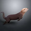 Otter in Standing Posture with Brown Body and Light Colored Head on Gray Gradient Background 3d model