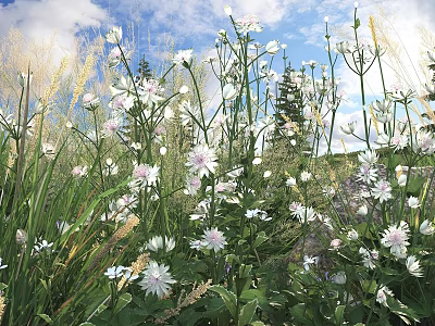 Outdoor Garden Shrubs With White Flowers And Green Leaves In Natural Landscape 3d model