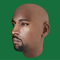 Bald Male Face With Beard And Mustache Against Green Background