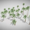 Multiple Palm Trees With Green Fronds And Long Trunks Casting Shadows 3d model