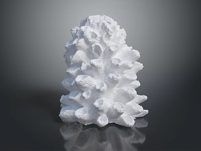 White Textured Plant Sculpture with Detailed Protrusions on Black Polished Surface and Reflection 3d model