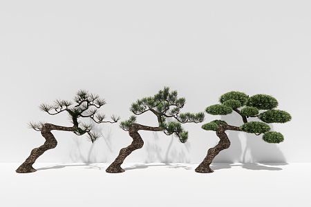 Chinese pine plant arbor 3d model