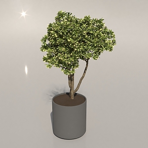 green plant potted plant 3d model