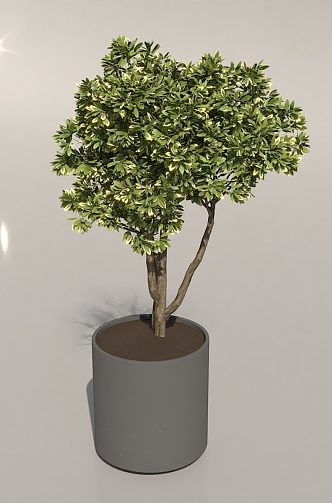 green plant potted plant 3d model