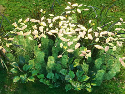 Aquatic Plants Lush Growth With Green White Leaves And Yellow Flowers In Wetland Area 3d model