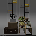 Indoor Green Plant Decor With Hanging Plants Shelves Wooden Chest Red Flowers And XA Sign