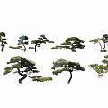 Various Shaped Ornamental Trees With Green Foliage And Unique Forms
