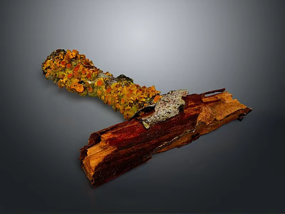 Natural Moss Plant with Yellow Orange Green Hues Growing on Brown Wooden Log Decorative Piece 3d model