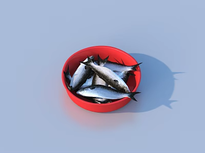 Red Kitchen Bowl With Fresh Fish For Daily Use And Storage 3d model
