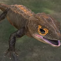 Red-eyed eagle lizard armor lizard thin three-sided lizard red-eyed crocodile lizard brucose crocodile skink lizard creature animal 3d model