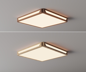 Nordic Silent Ceiling Lamp 3d model