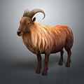 The Brown Goat with Curved Horns and Long Hair Standing Against Gray Background