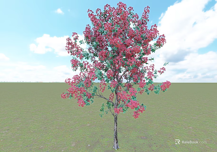Beautiful Flowering Arbor with Red Blossoms and Green Leaves Under Blue Sky and Green Grass 3d model 