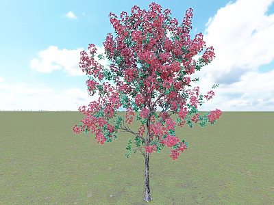 Beautiful Flowering Arbor with Red Blossoms and Green Leaves Under Blue Sky and Green Grass 3d model