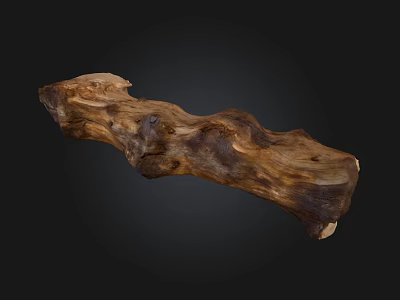 Natural Rustic Stone Wood Log with Unique Texture and Organic Shape 3d model