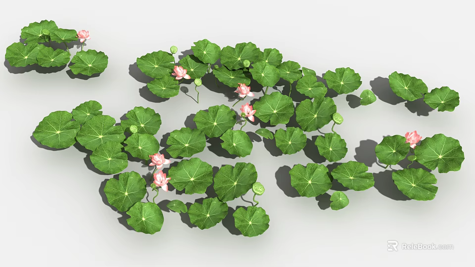 Fresh Green Lotus Leaves And Vibrant Pink Flowers In Natural Arrangement 3d model 