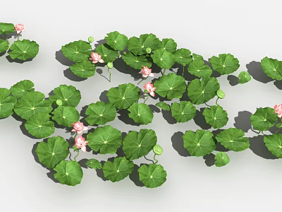 Fresh Green Lotus Leaves And Vibrant Pink Flowers In Natural Arrangement 3d model