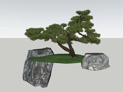 Natural Plant Combination With Pine Tree Rocks And Green Grass Landscape 3d model