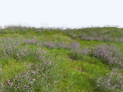 Lush Green Hillside Covered With Vibrant Purple Flowers And Fresh Grass 3d model