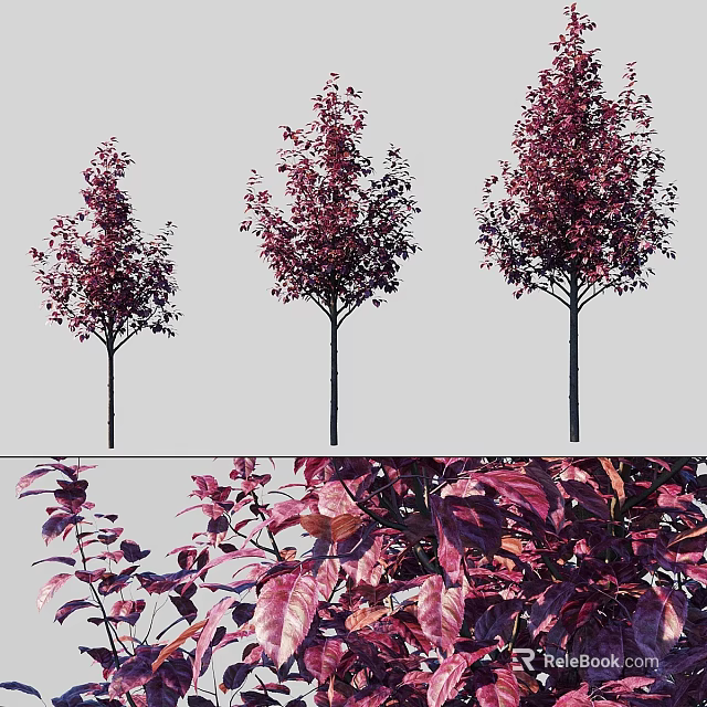 Elegant Decorative Tree Ornaments Set with Purple Red Leaves for Home Decor 3d model 