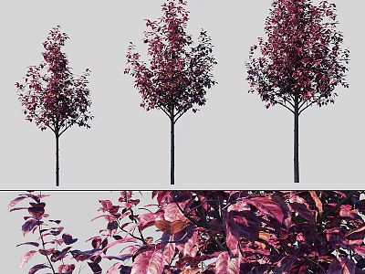 Elegant Decorative Tree Ornaments Set with Purple Red Leaves for Home Decor 3d model