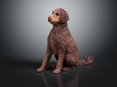 Brown Curly Haired Dog Sitting Gracefully On Dark Background With Reflection 3d model
