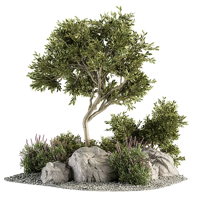 Natural Garden Decor With Green Tree Shrubs Rocks And Purple Plants 3d model