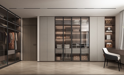 Modern Italian Light Luxury Cloakroom Glass Cabinet Door Wardrobe Light Luxury Wardrobe 3d model