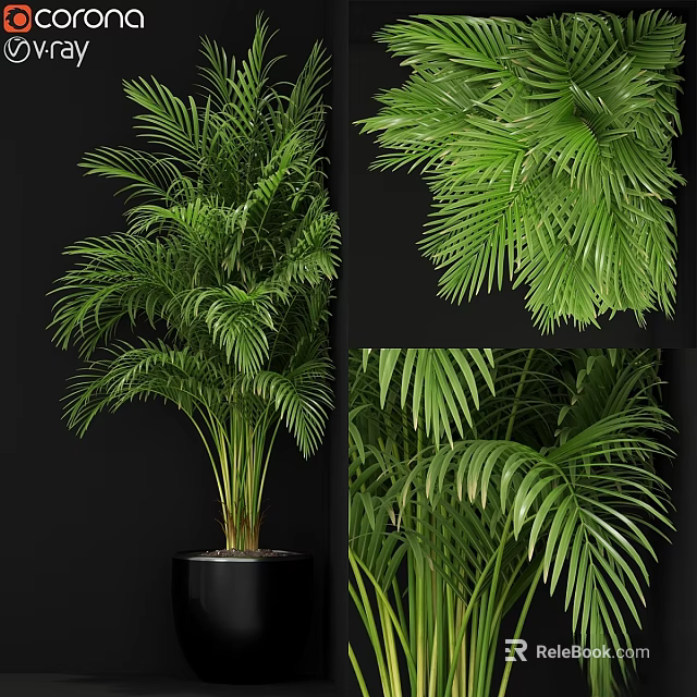 Elegant Garden Decor With Various Lush Green Palm Leaves And Potted Plants 3d model 