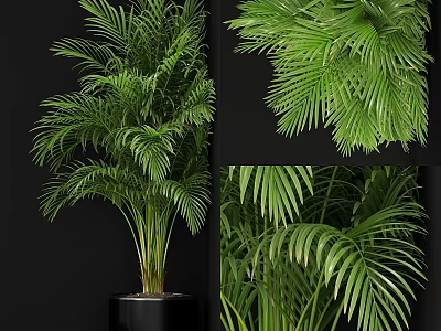 Elegant Garden Decor With Various Lush Green Palm Leaves And Potted Plants 3d model